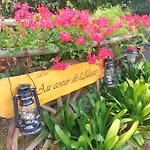 Au Coeur De L'alsace *