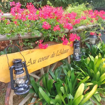 Au Coeur De L'alsace *