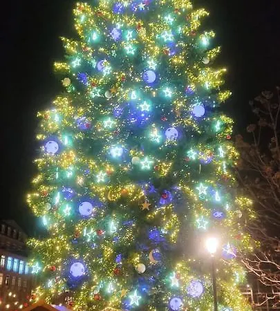 Au Coeur De L'alsace *