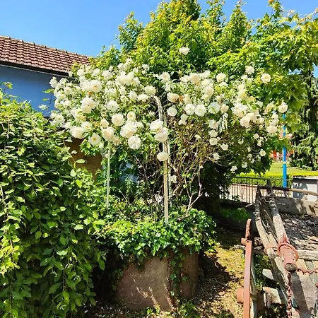 Au Coeur De L'alsace Hébergement de vacances *