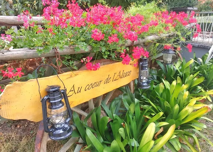Au Coeur De L'alsace *
